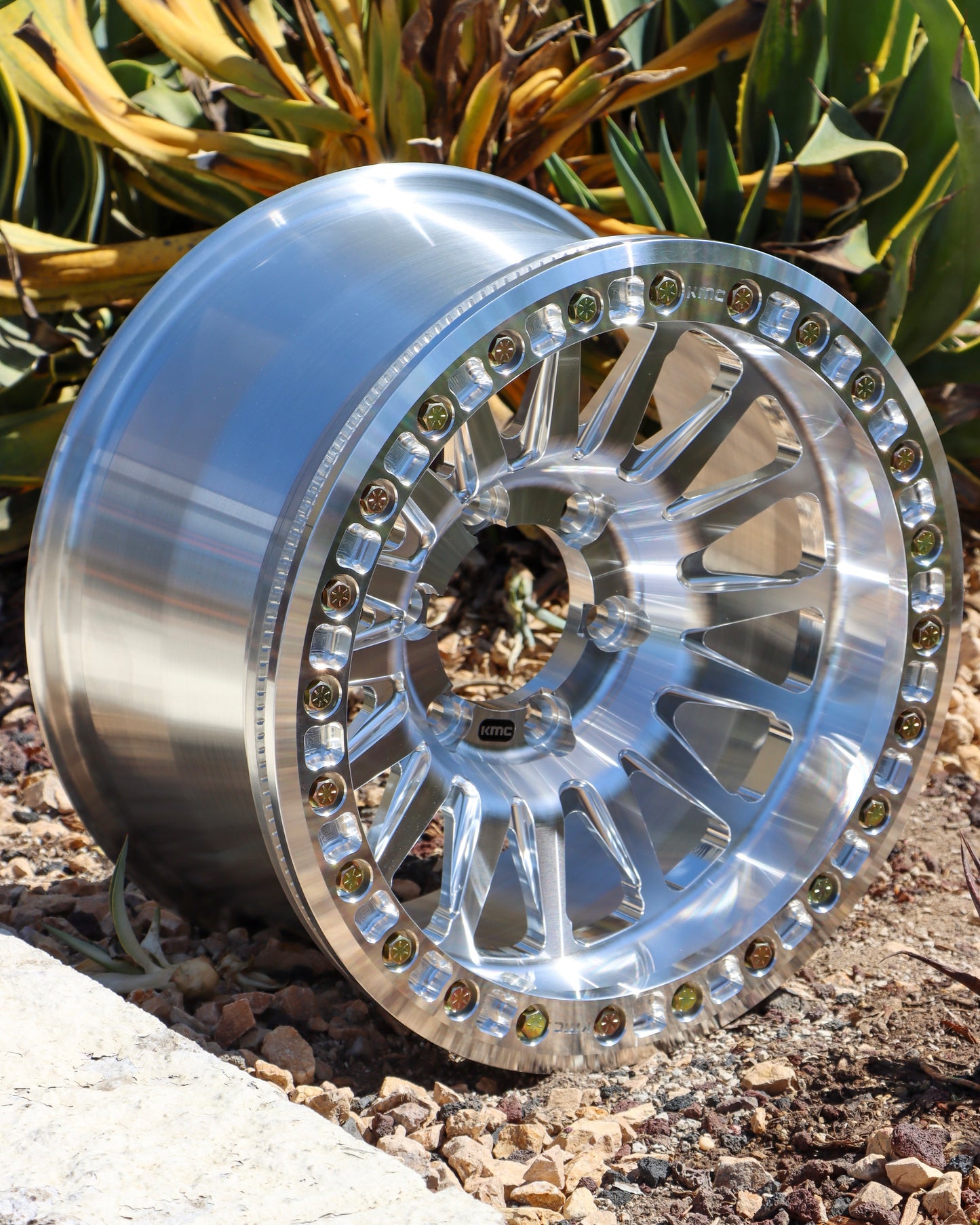 6 lug kmc impact forged bead lock in a planter with succulents in the background.