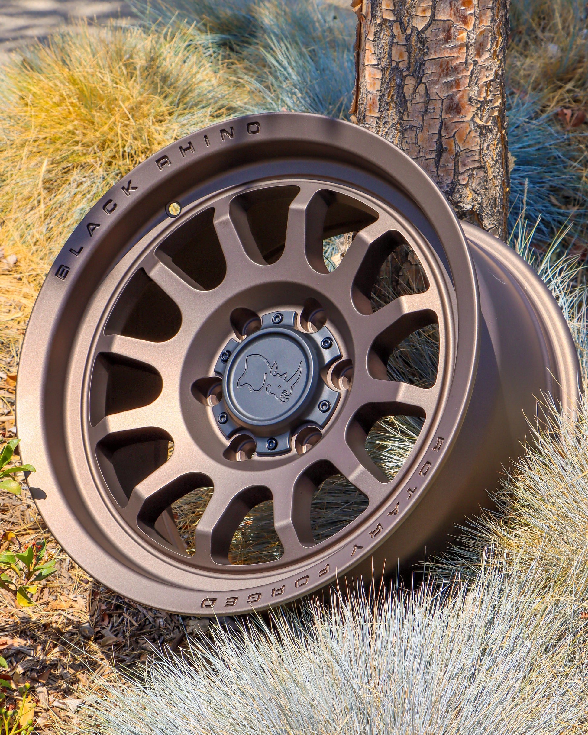 Black Rhino Rapid Wheel with a Matte Bronze finish, on the ground leaning against a tree.