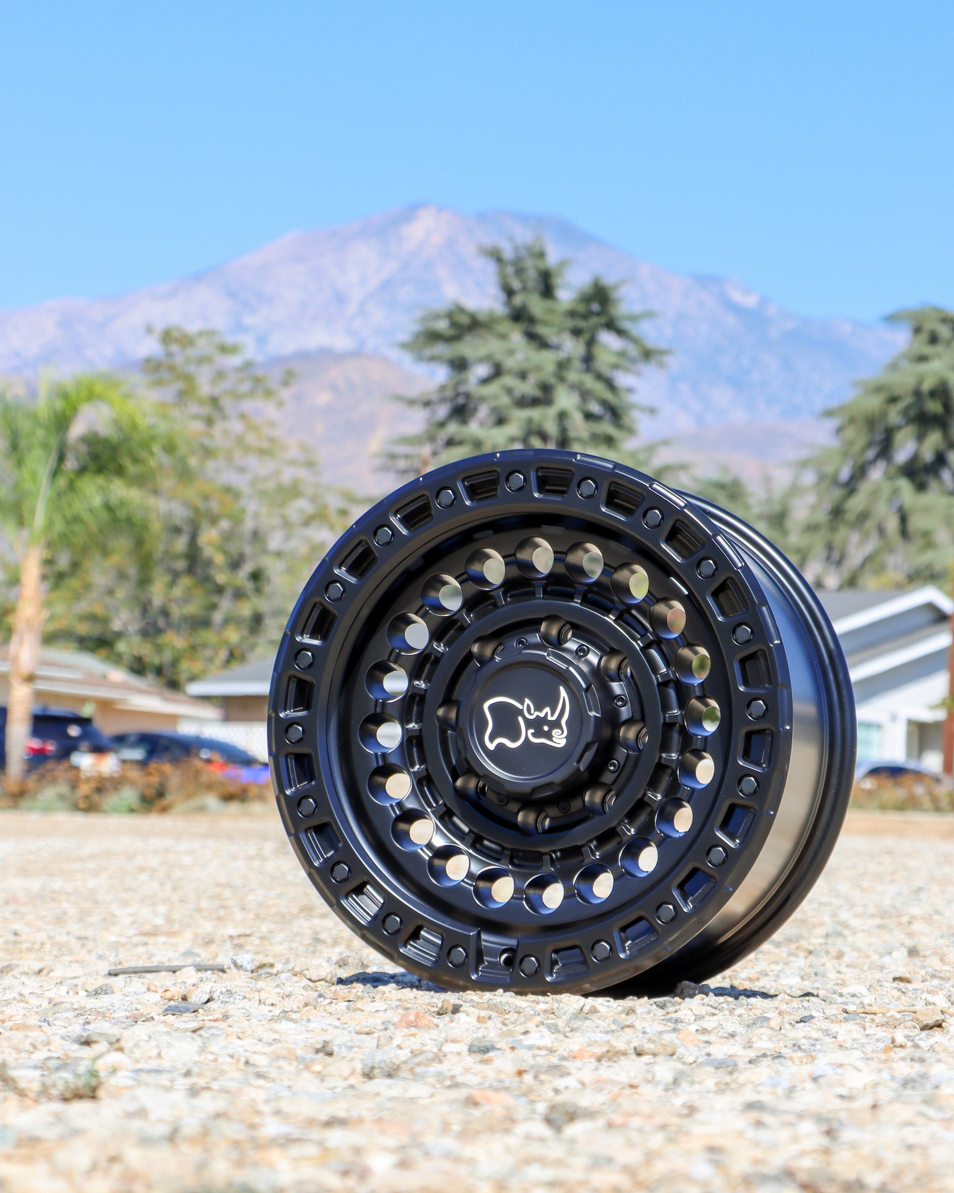 Black Rhino Sentinel Wheel in a matte black finish, on the ground with a majestic mountain background.