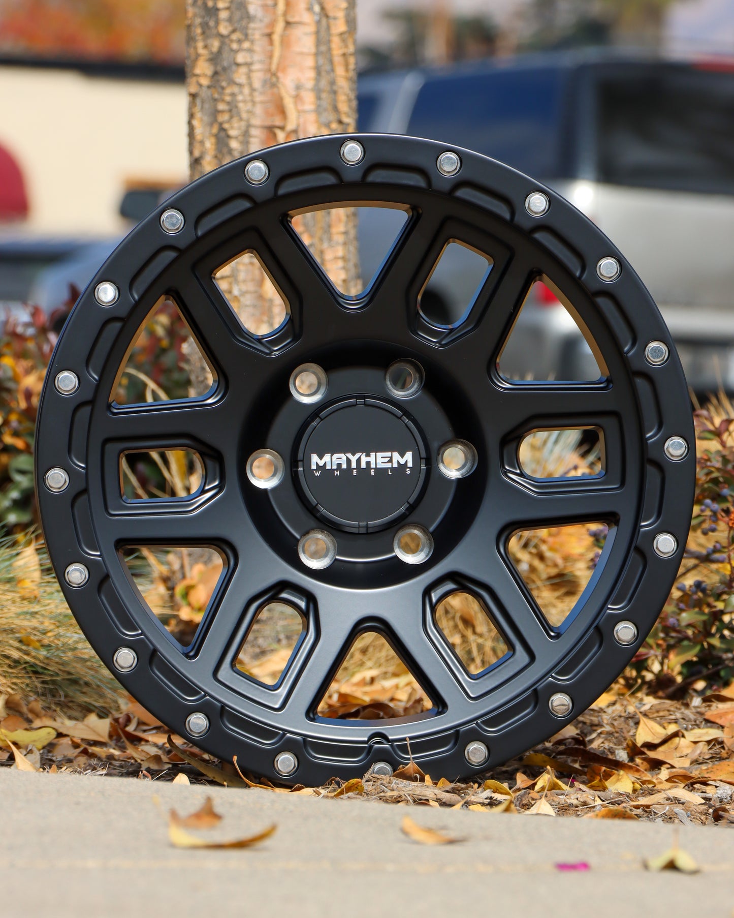 Mayhem Delta Wheel Sitting on some woodchips.